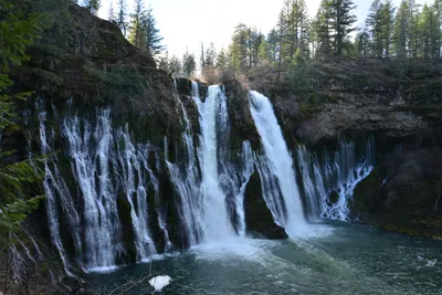 DSC_5940 (Large).JPG